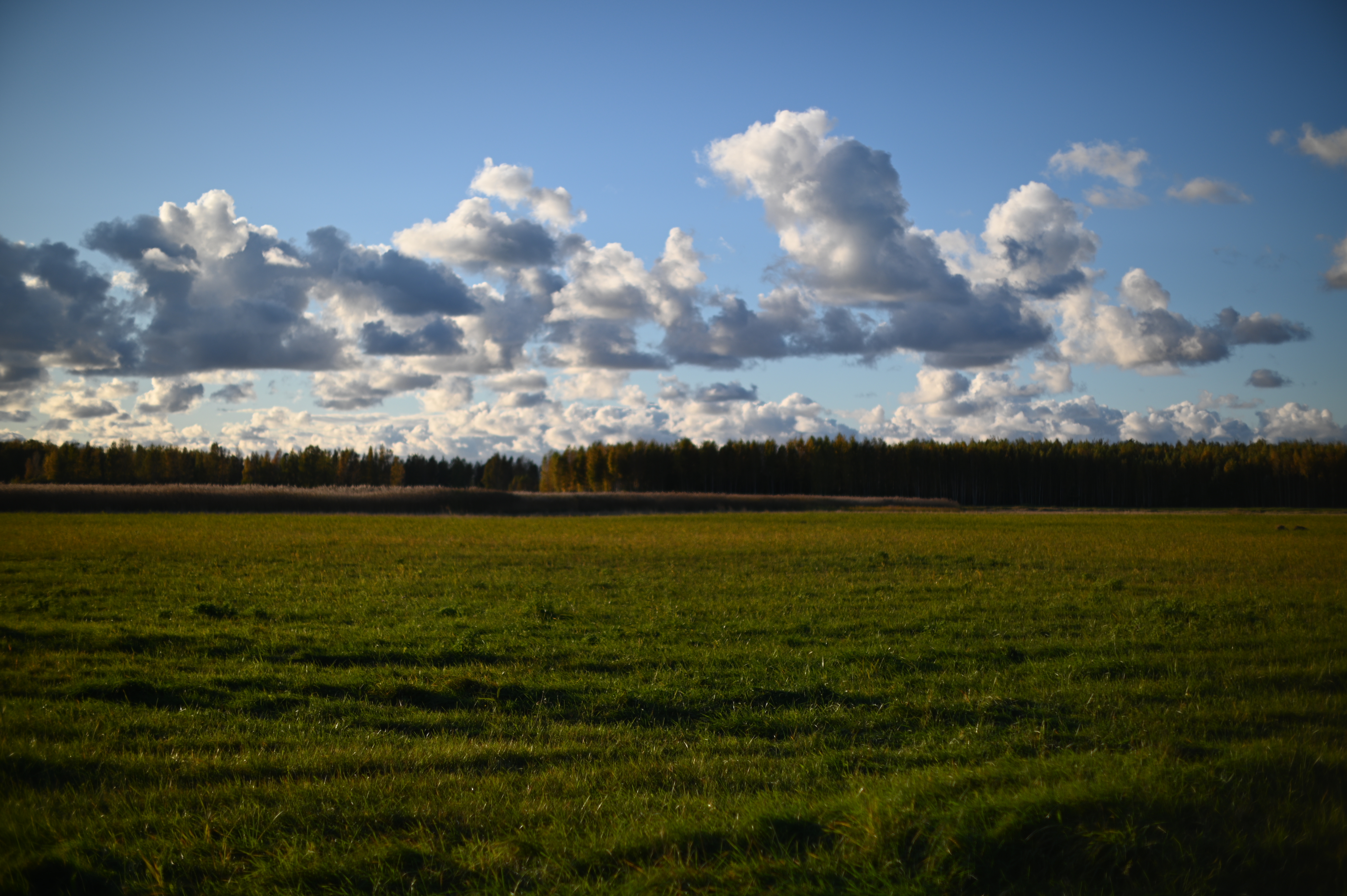 2025/10/18 - walk/DSC_0164.JPG